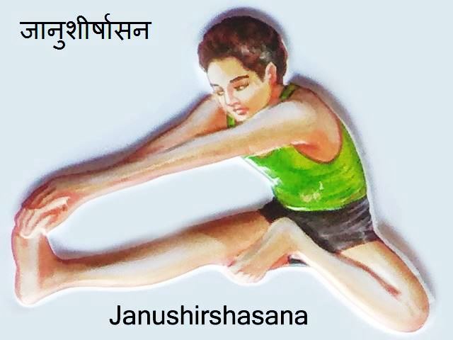 Janu Shirshasana: Janu Shirshasana in hindi