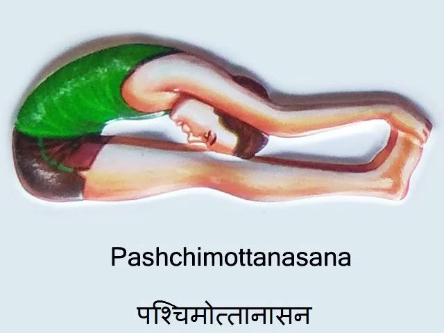 Paschimottanasana: Paschimottanasana in Hindi