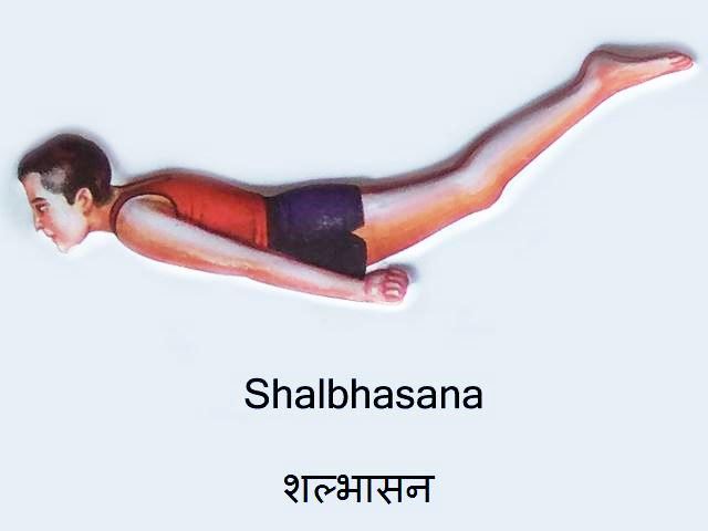 Salabhasana: Salabhasana in Hindi
