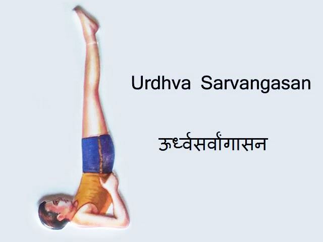 Urdhva Sarvangasana: Urdhva Sarvangasana in Hindi
